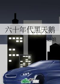 六十年代黑天鹅晋江文学城封面
